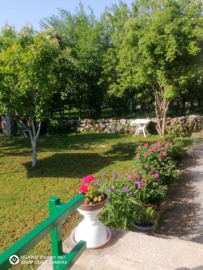 Vila Kalista Jurdani Exteriér fotografie